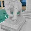 江西 白麻花岗岩动物异形石雕-大象