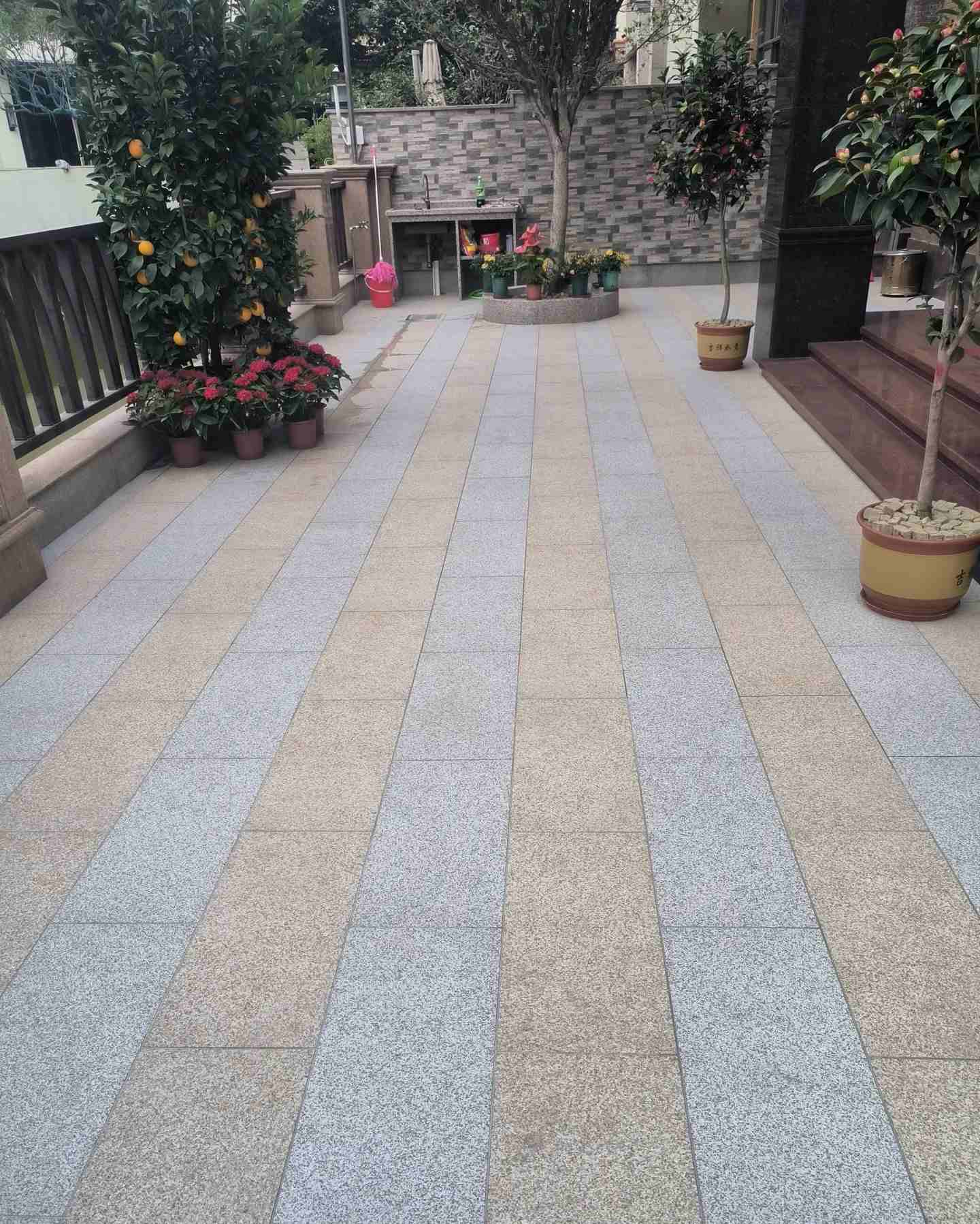 江西 黄金麻白麻荔枝面庭院铺装展示